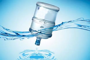 衡水民生警示录 购房水费陷阱与食品安全防线