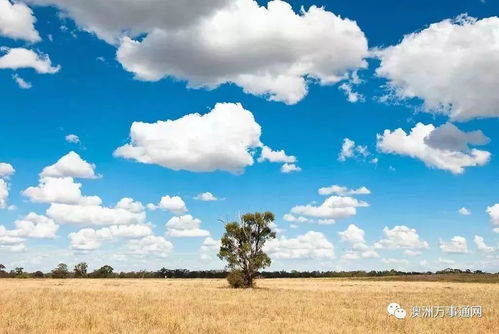 全球健康城市排名 珀斯跻身前十，上海因水环境防治挑战垫底的背后
