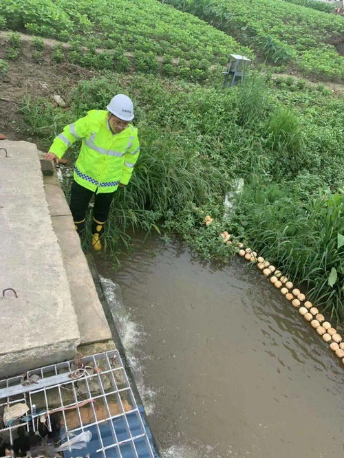 环境守护者丨保护碧水蓝天 共建美好家园