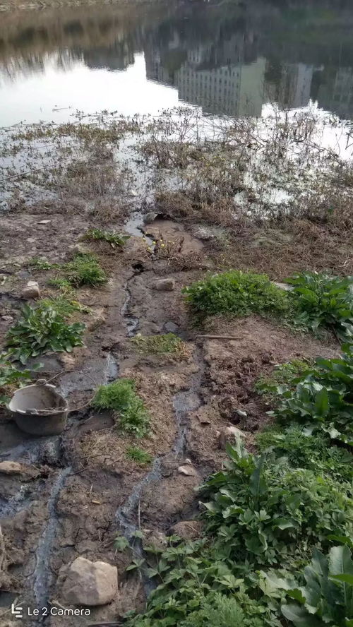 守护清流 从南部神坝镇疑似污染事件看水环境污染防治的紧迫性与路径