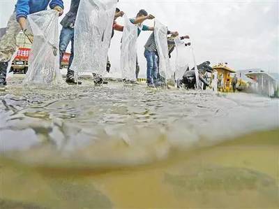 深化水环境污染防治 守护我市碧水清波