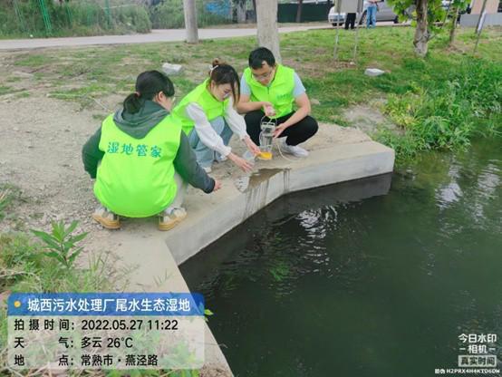 美翻了 污水厂用尾水养出生态湿地